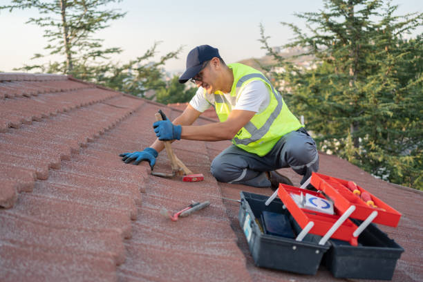 Best Storm Damage Roof Repair  in Piney, AR